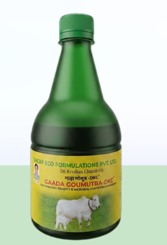 GAADA GOUMUTRA 500G