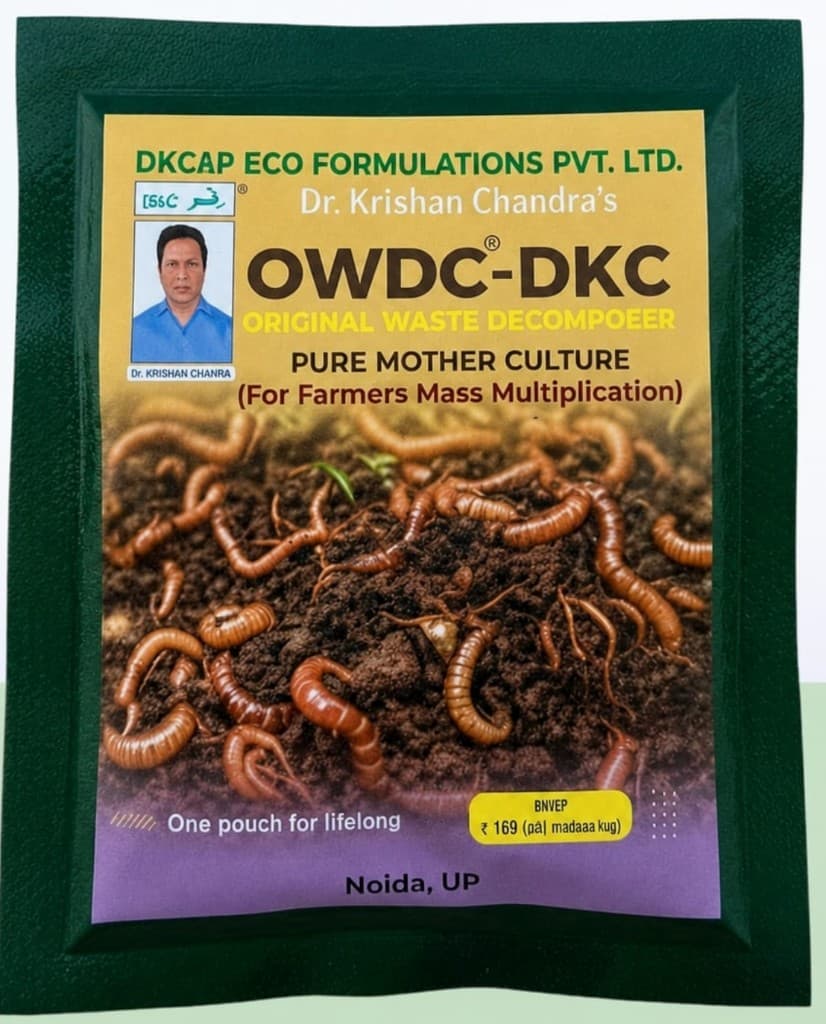 OWDC - POUCH 41G