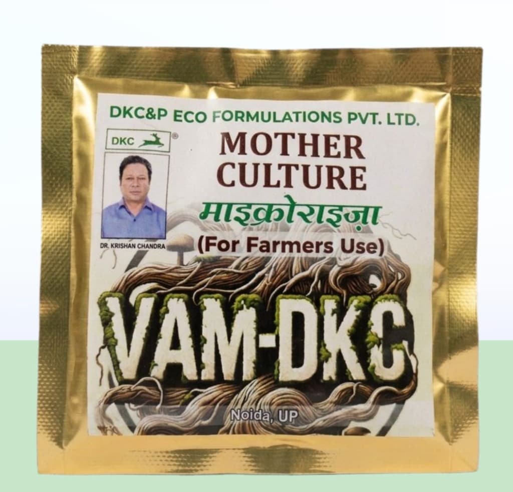 VAM - DKC