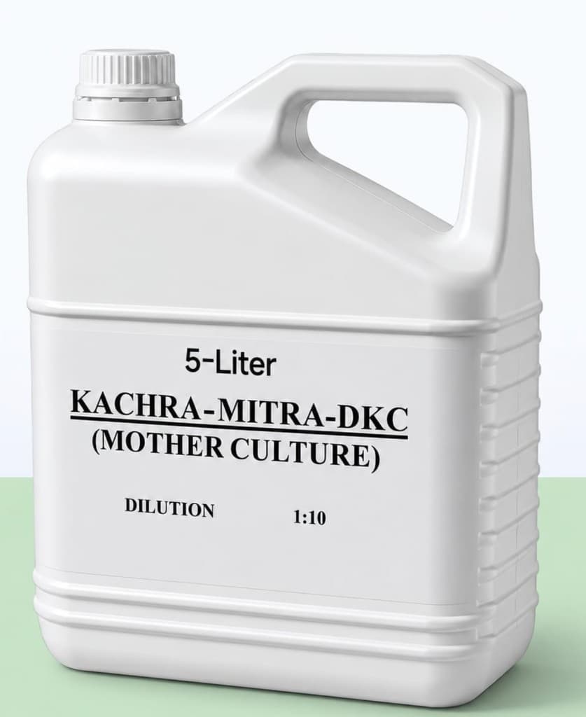 KACHARA MITRA – DKC