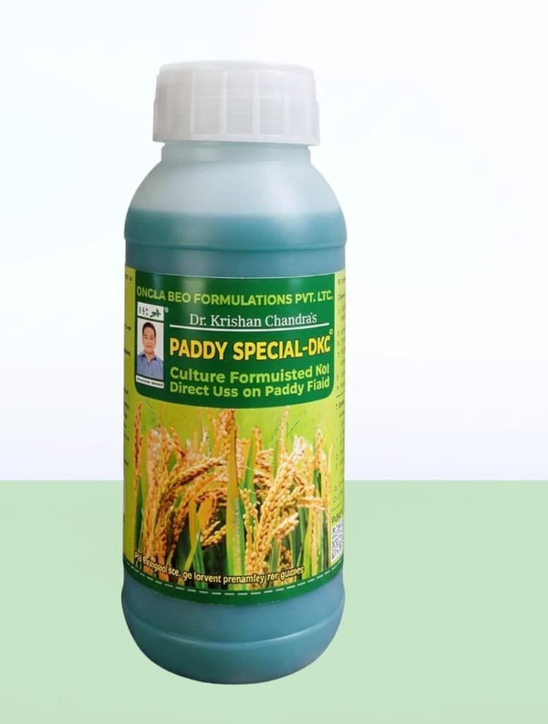 PADDY SPECIAL - DKC
