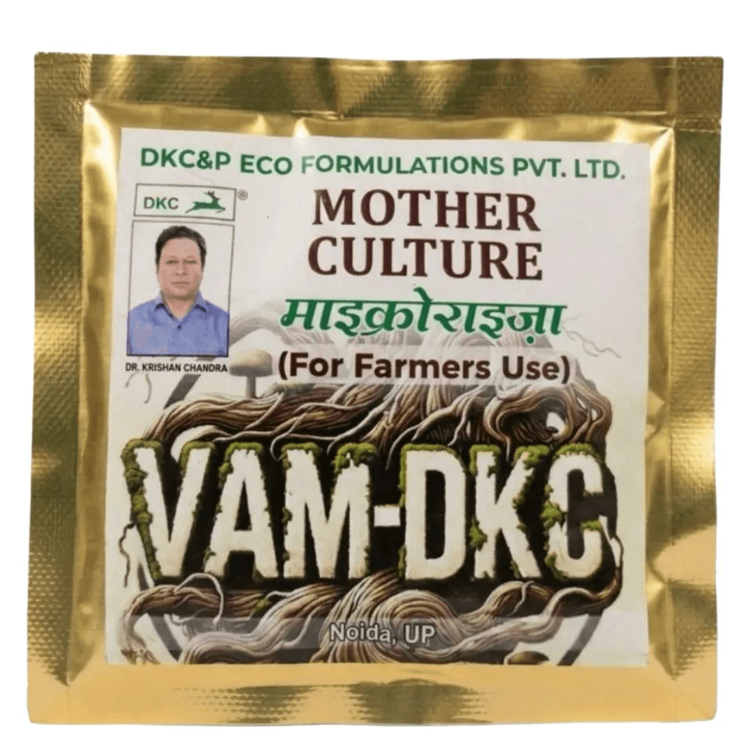 VAM - DKC