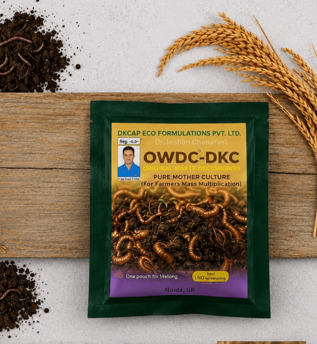 OWDC-DKC Original Waste Decomposer product packaging